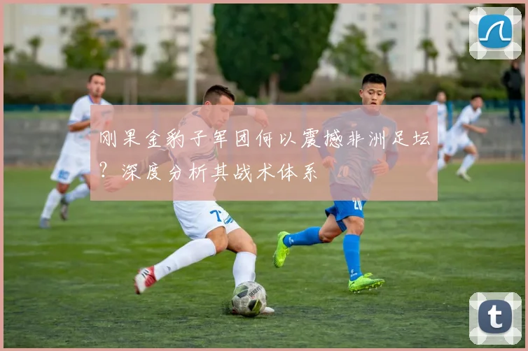 刚果金豹子军团何以震撼非洲足坛?深度分析其战术体系