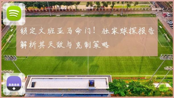 锁定文班亚马命门!独家球探报告解析其天敌与克制策略